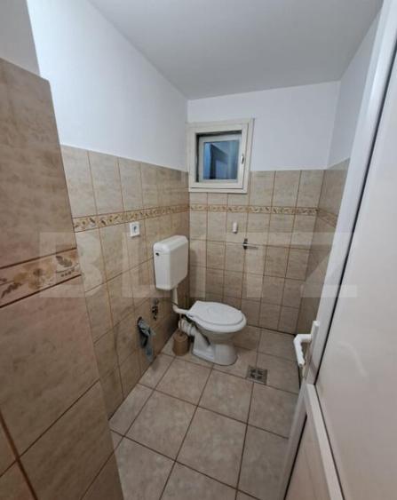 Casa individuala de vanzare in satul Zizin, jude?ul Bra - 11