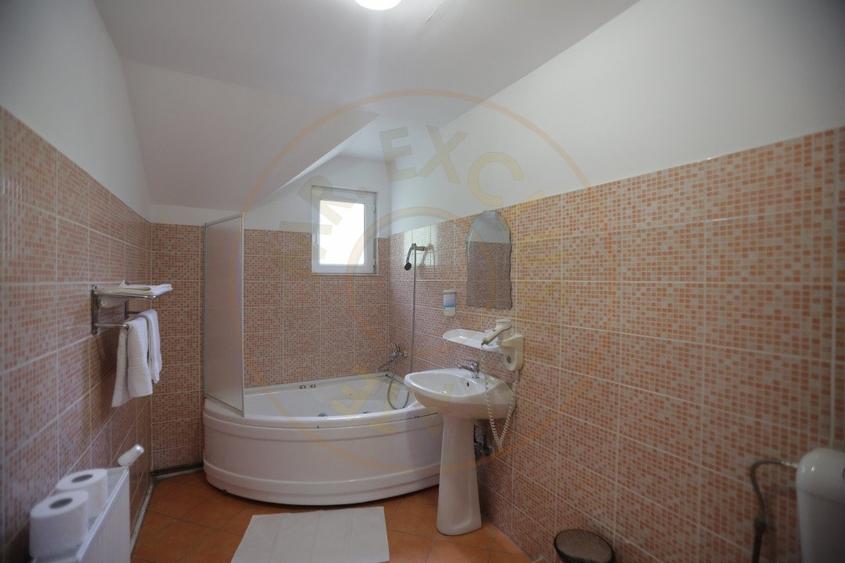 Pensiune in zona de munte-Baia de Fier - 11