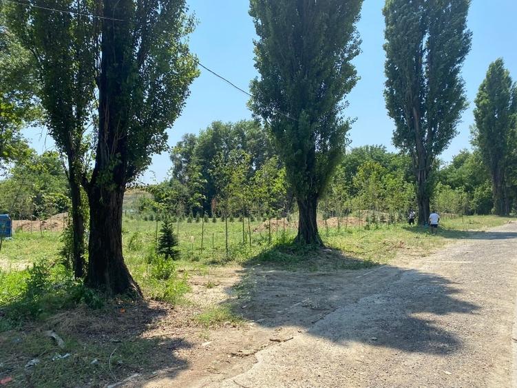 Teren construcții 3 loturi Intrarea Serelor/ Iuliu Hațeganu - 1