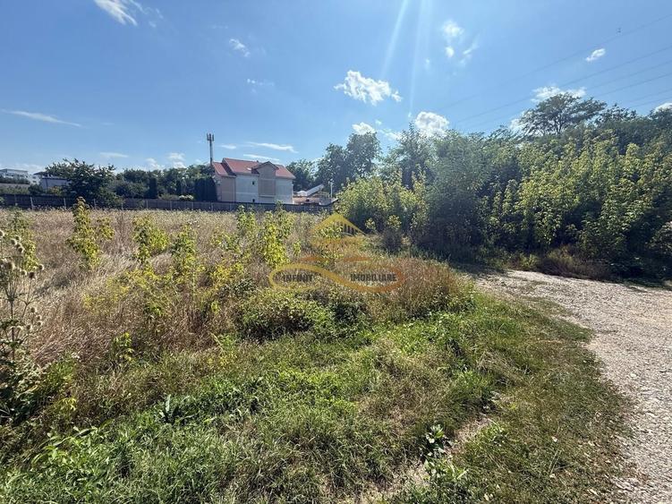 Teren de vanzare in Bacau - 5