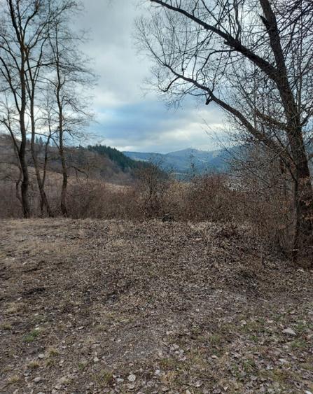 Teren intravilan la drumul na?ional comuna Hangu, Neamt, 5000mp - 5