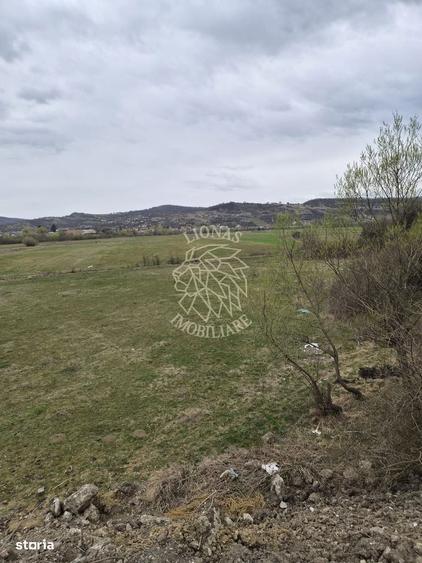 Teren 1000 mp-Oportunitate de Investitie-Zona Aerodrom - 3