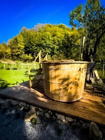 Casa de vacanta cu 4 camere,3300 mp teren,Valisoara - 2