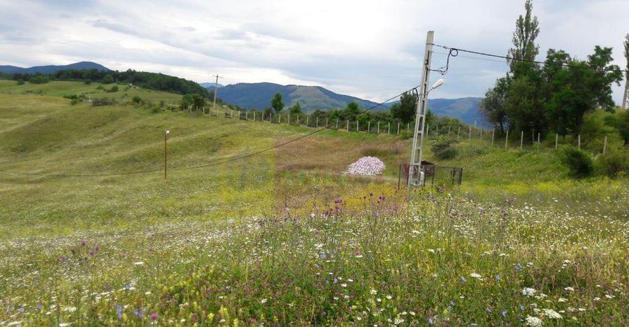 Teren intravilan de vanzare in Breaza (dezvoltare imobili... - 7