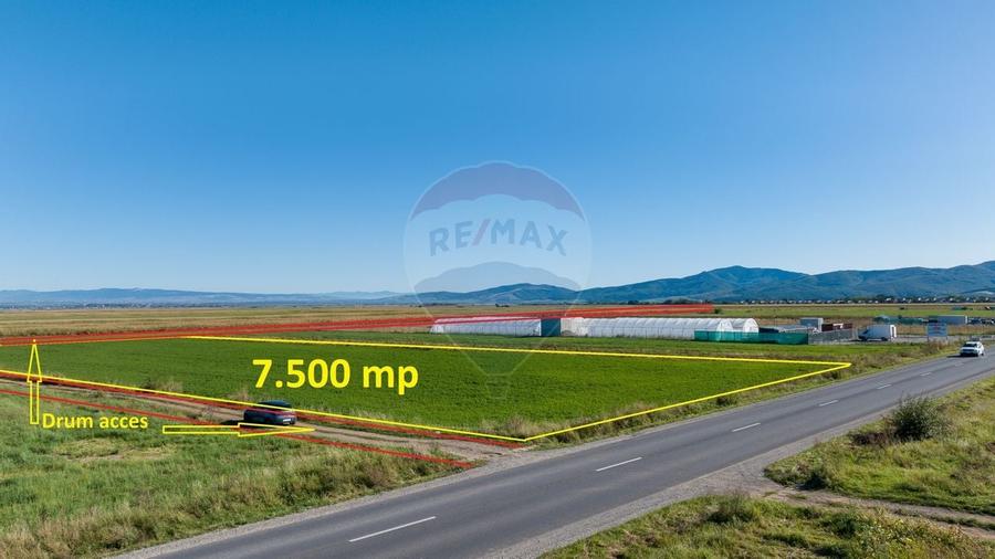 Teren comercial / industrial | 7,500mp Strada Zizinului | Tarlungeni - 10