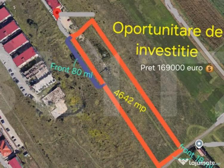 Teren de investitie 4642 mp in zona Strazii Cometei din Baci - 3