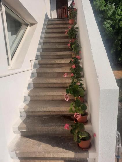 Casa de vanzare - 4