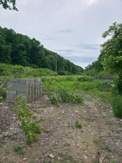Teren de 4200 mp, în Lăbușești