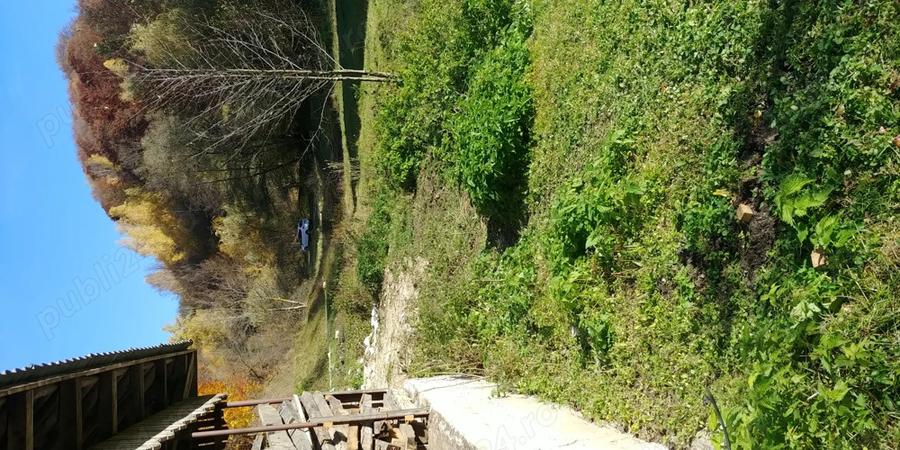 Vand Casa si teren in Maramures - 3