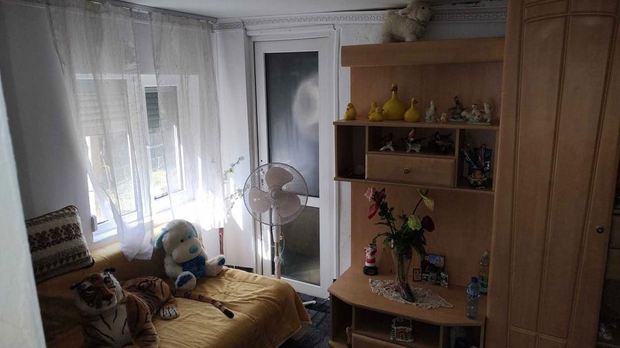 Casa de vanzare cu teren generos - 5