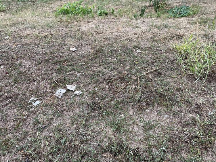 Colentina Andronache - 1