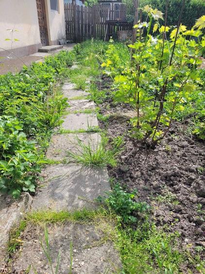 Teren 2712 mp Mischii, sat. Urechesti, Str Florilor, Nr. 56 - INTRAVILAN - 1