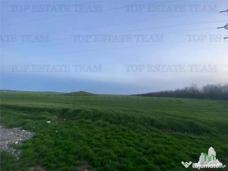 Teren intravilan 15000 mp Costinesti, Constanta - 6