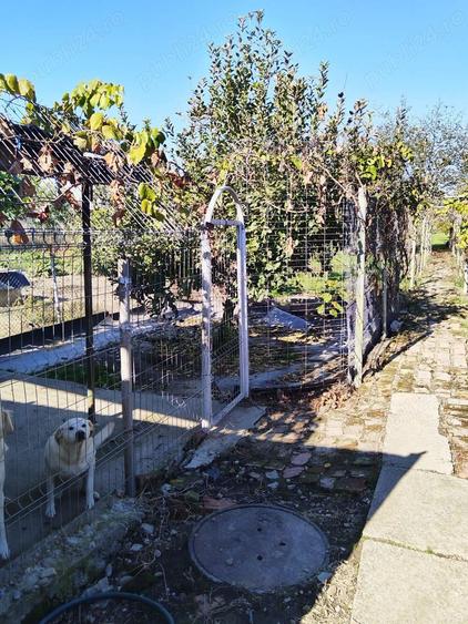 Teren 1362 mp + anexe - 8