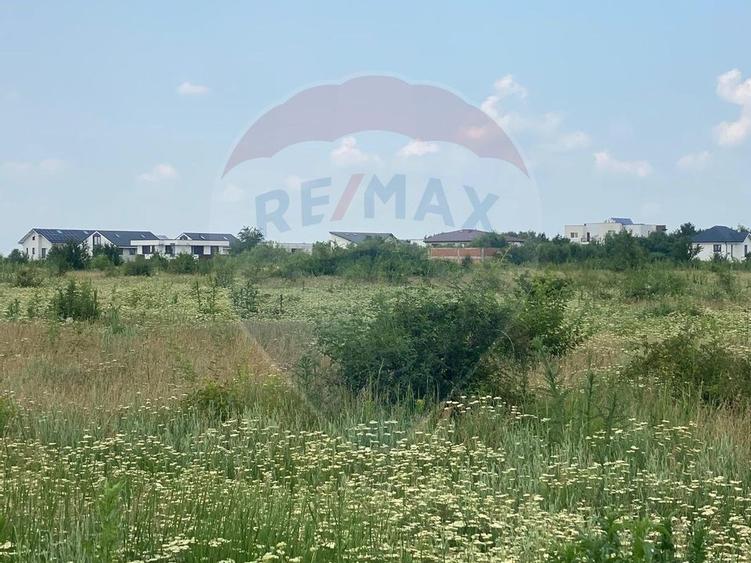 DE VANZARE Teren intravilan 600mp Drumul Piscul Mosului SISESTI - 12