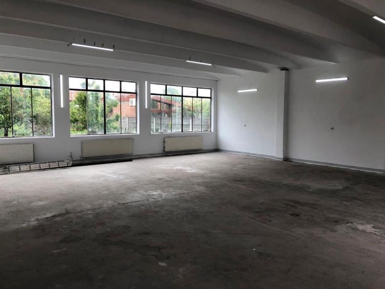 Casa de vanzare cu hala pretabil afacere - 2