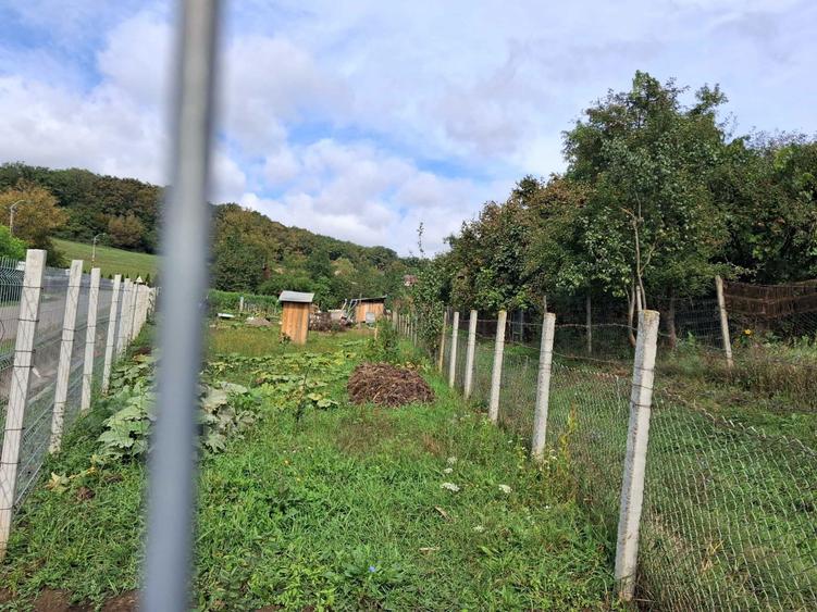 Teren intravilan cu aprobare PUZ in TG MURES TG Mures - 1