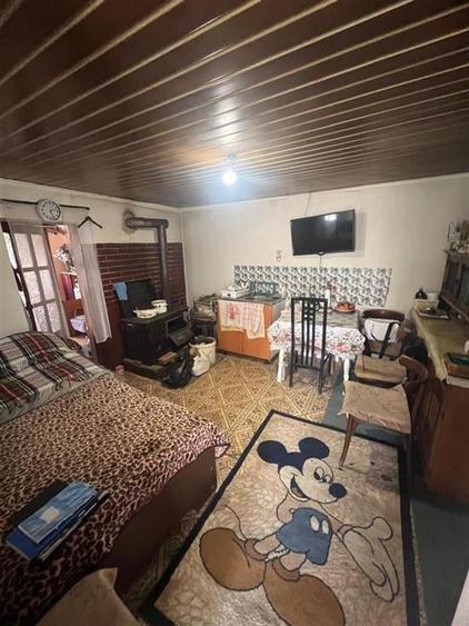 RECO, Casa cu 9168 mp teren intravilan, Sistera, Cetariu, Aproape de Oradea - 4