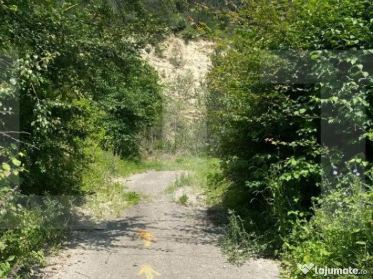 Teren intravilan, 743 mp, 30 ml front la drum, Cheile Baciul - 1