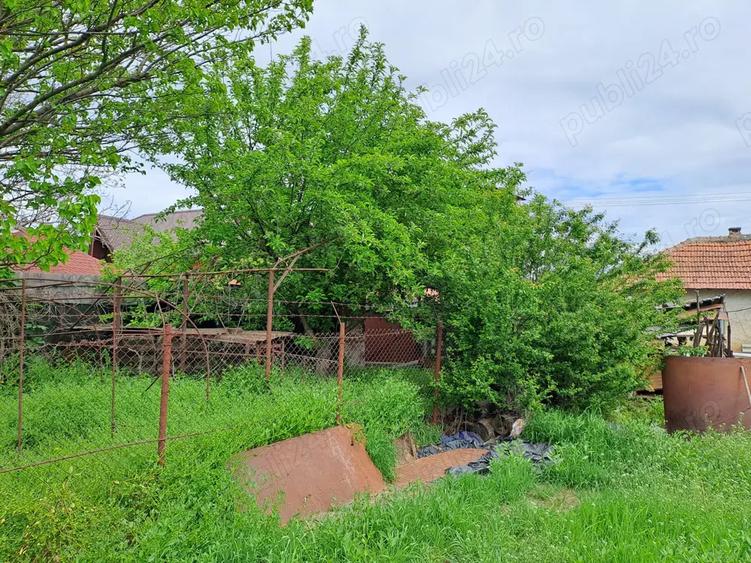 Imobil +teren de vanzare - 4