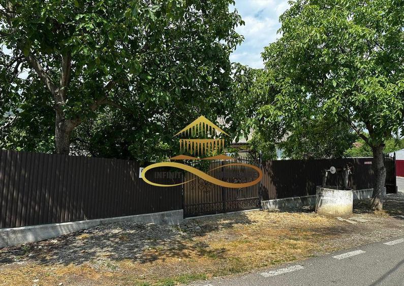 Casa batraneasca cu 1008 mp teren de vanzare in Sarata / ... - 12