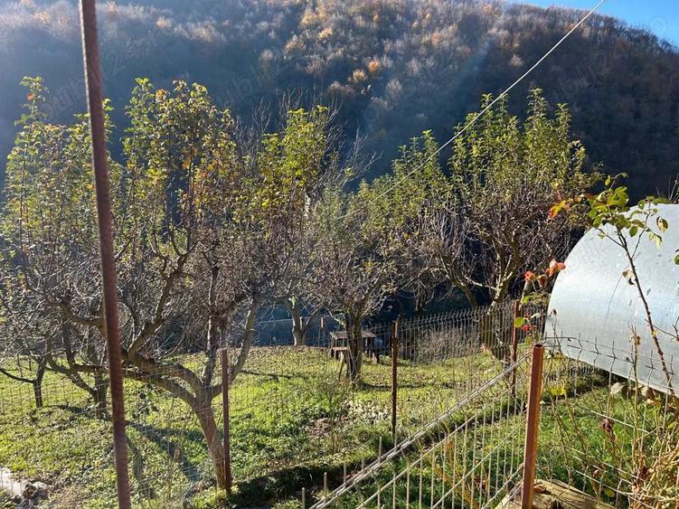 Casa de vacanta cu padure si livada - 3