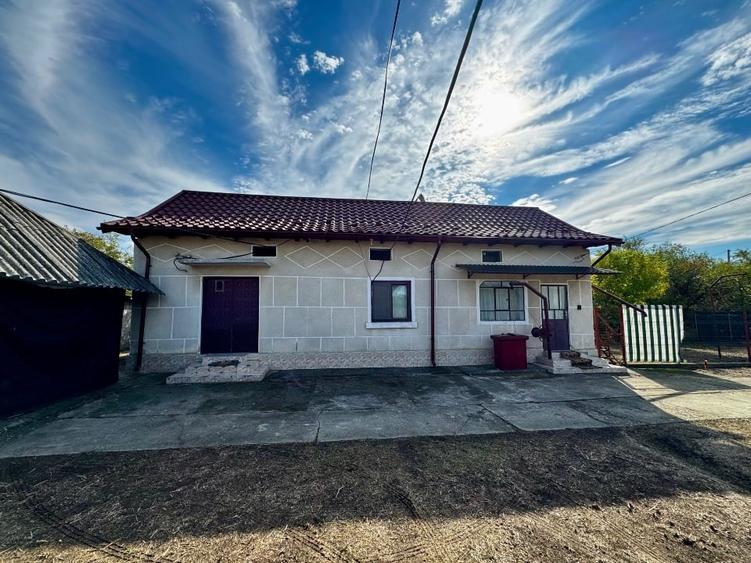 Casă de vânzare în Silisteni – 2 case, garaj, curte, grădină și livadă - 3