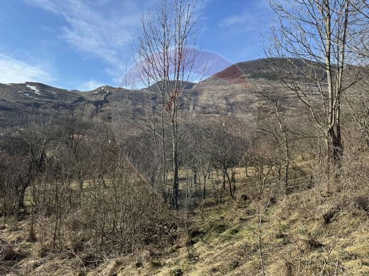 Casă din piatră la poalele Bedeleului – Izvoarele, Alba - 16