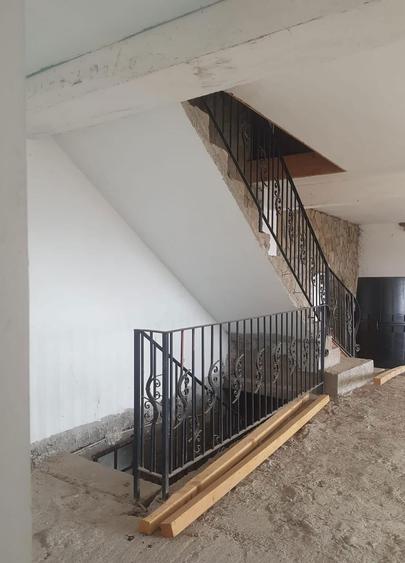 Casa de vanzare Demisol+P+1E+M,Teren 7000 mp - 6