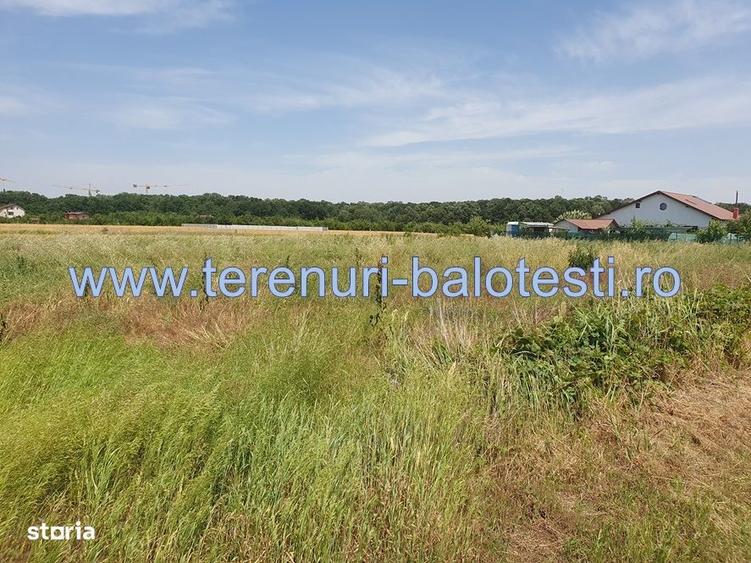 Teren Balotesti, 500 mp, 19500 euro,zona padure Edenland - 6