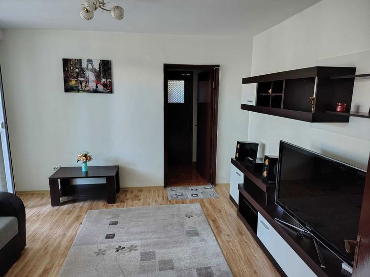 Ofer Spre Inchiriere Ap 2 cam Craiovei - 6