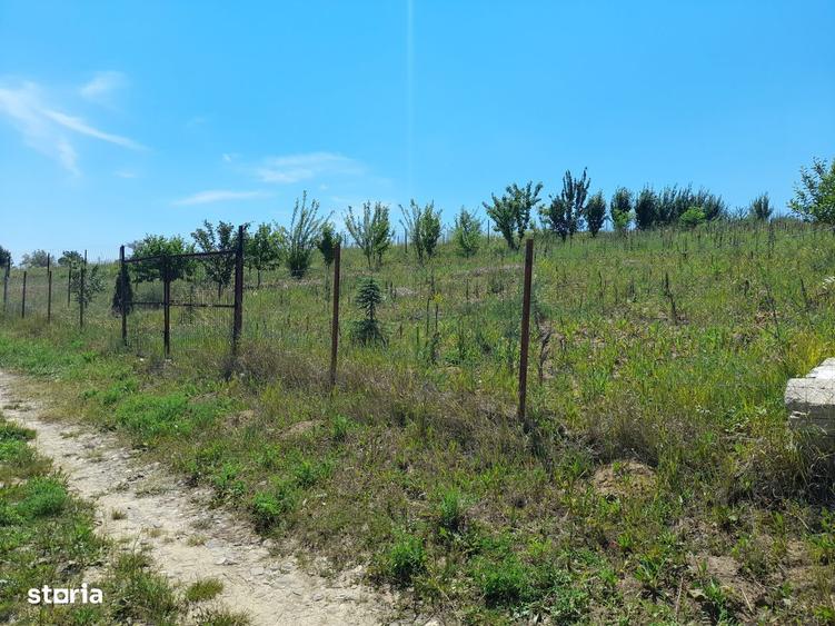 Teren de vanzare, 1074 mp, acces usor. Zona Copou Iasi! - 2