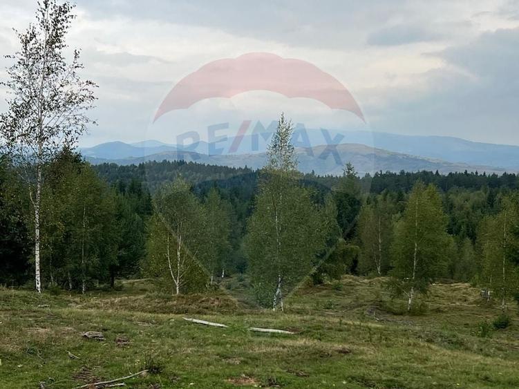 Teren extravilan parcelabil Călățele Pădure, zona Dealu Negru - 4