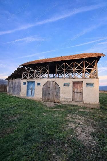 Teren 4.443 mp intravilan + extravilan | Nicolae Balcescu Ple?oiu, jud Valcea - 9