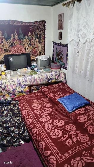 Casa in zona de deal la Zarnesti, la 20 km de Buzau, teren 1535 mp - 5