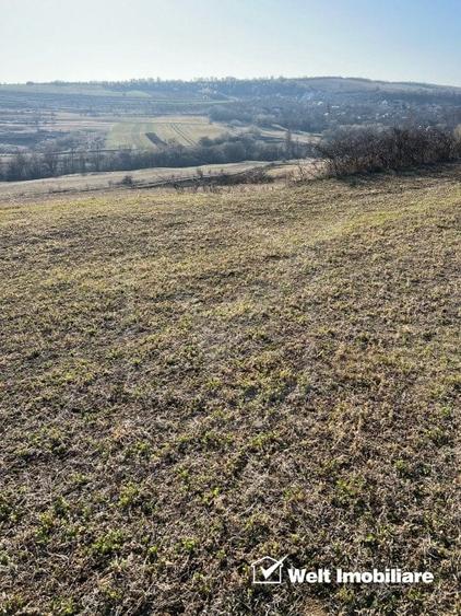 Teren extravilan in Saliste - 1