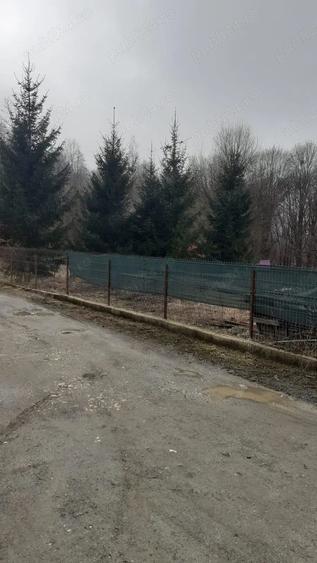 Loc casa de vacanta - 1