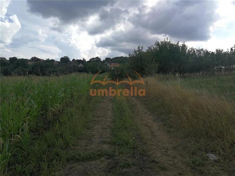 De vanzare teren 1.800/? intrav. in Deus- Chinteni ! - 4