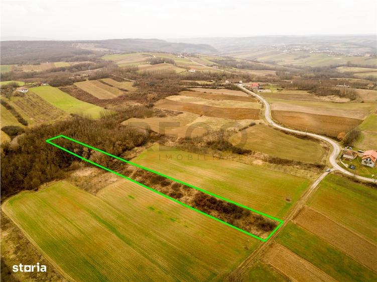 RECO Teren intravilan in Ceica Bihor - 1