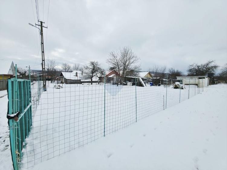 Teren 325mp Dobreni / Strada LASCAR CATARGIU - 3