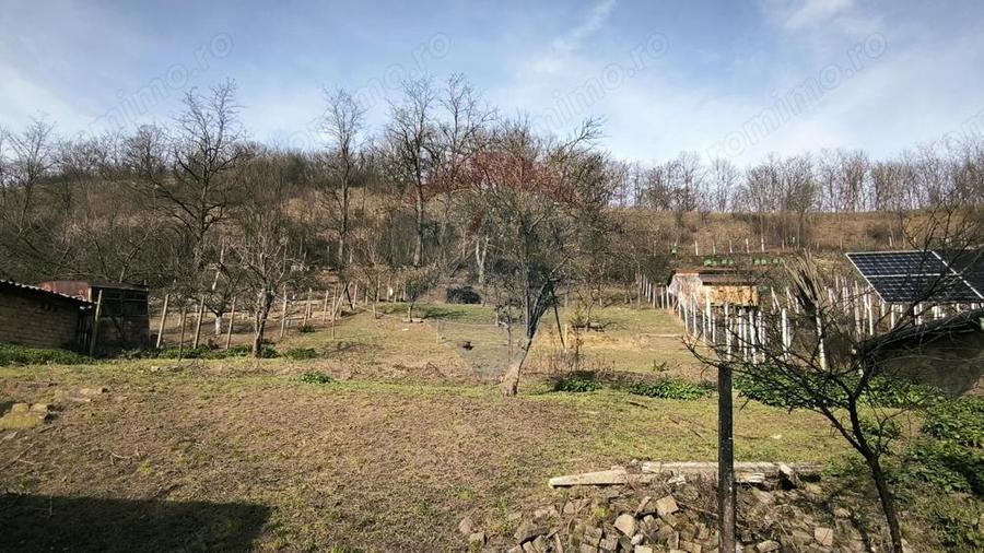 Casa la ?ara in Transilvania - sat sasesc Paucea, jud. Sibiu - 6