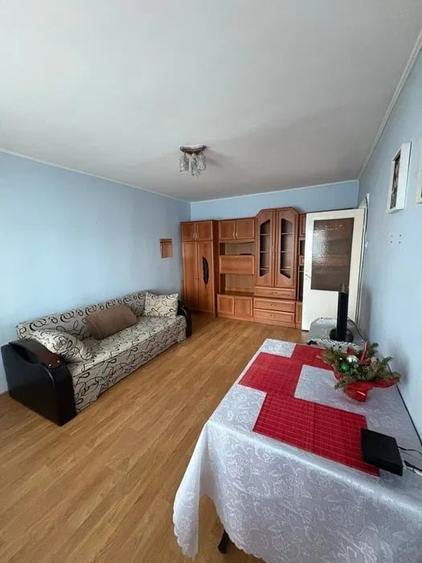 Apartament cu 2 camere, decomandat, PET FRIENDLY, zona Tudor - Iulius Mall - 3