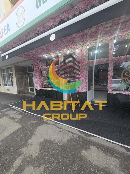 Gelaterie si Cafenea de Vanzare parc Floreasca - 3