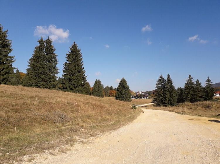 Teren cu Potential Turistic Major in Poiana Brasov - 2