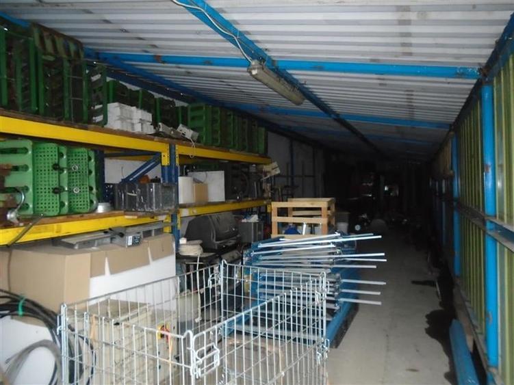 Hala de inchiriat in Aradul Nou - 9