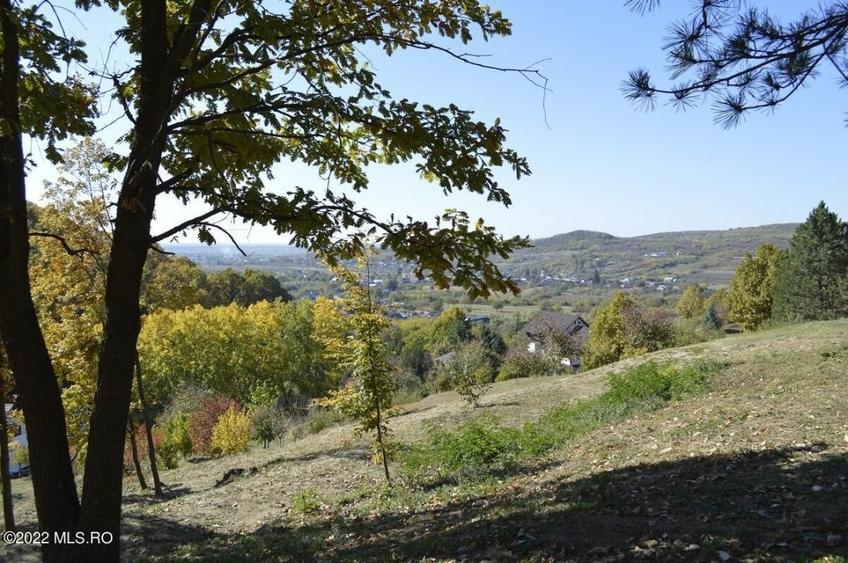 Topoloveni - Conacul Ion Mihalache, Domeniu pe 5 Hectare! - 56