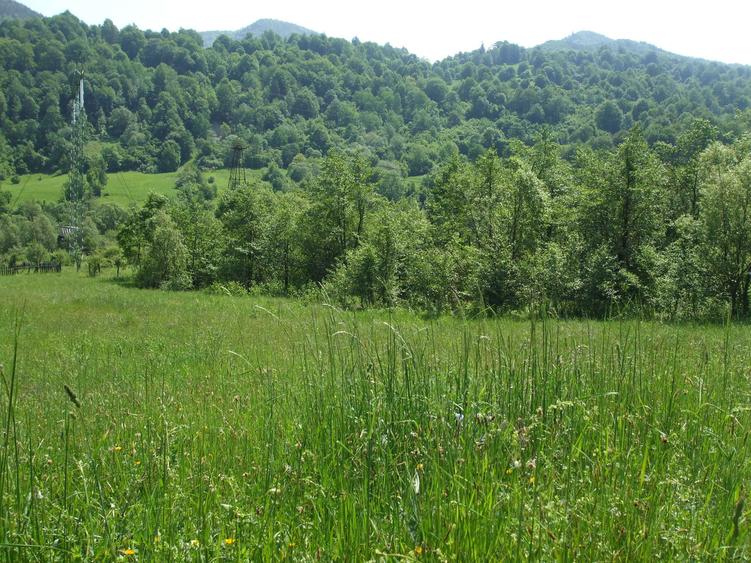 Vand teren intravilan 1632 mp in Poiana Sarata-Oituz - 2