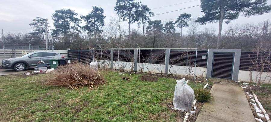 Se vinde casa, hala cu panouri solare, teren, zona Branesti-Pasare - 8