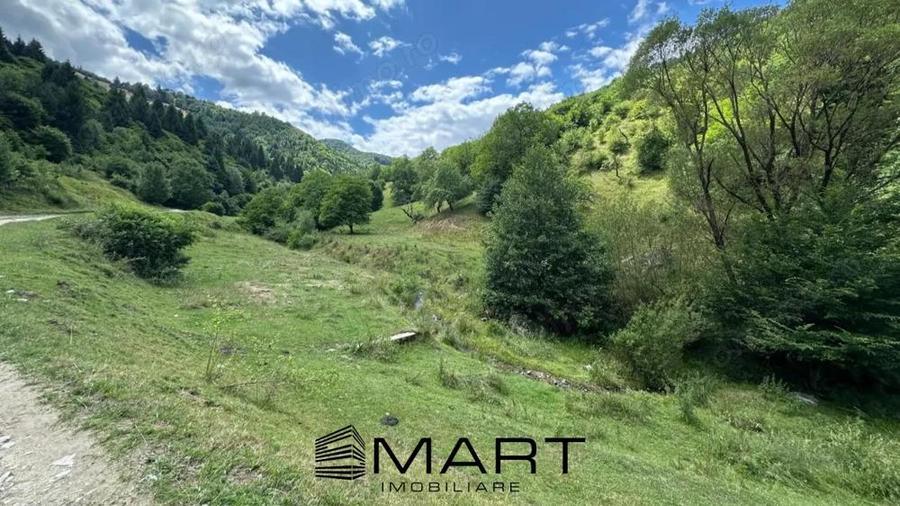 Teren intravilan 8500mp Rasinari - 1