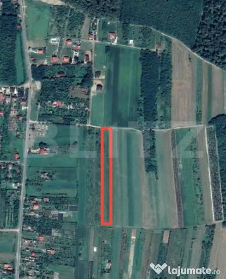 Teren de 8575 mp, în Viile Satu Mare